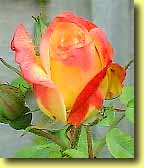 �o��2