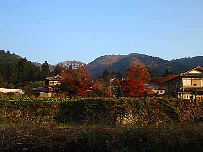 �匴�̗��̍g�t�i���s�E�匴�j