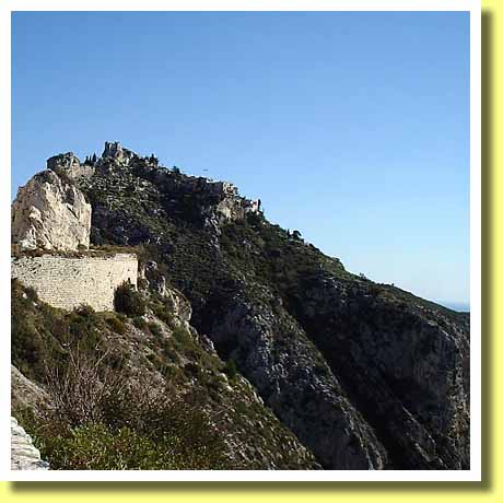 �t�����X�암�R�[�g�E�_�W���[���̊�R�̏�̘h�̑����G�Y�𓹒[���璭�߂�