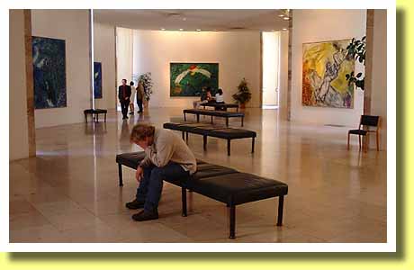 �V���K�[�����p�ق̊ٓ��̗l�q�i�j�[�X�A�t�����X�j