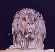 �����̃��C�I��