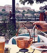 ���{�ƃO���[�V��