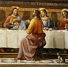 �M�������_�C�I �Ō�̔ӎ`