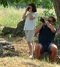 イタリア南部カンパーニャ地方にあるパエストゥム遺跡に見るドーリア様式の古代ギリシャ神殿の典型 ヘラ第二神殿（ネプチューン神殿）
