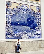 �傫�ȃA�X���[�W���i���X�{���A�|���g�K���j
