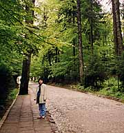 �X�̉��ցi�J���p�`�A�̐^��V�i�C�A�A���[�}�j�A�j