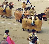 �����m����