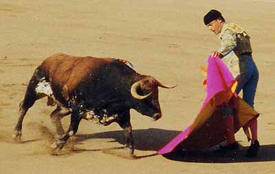 �}�^�h�[��